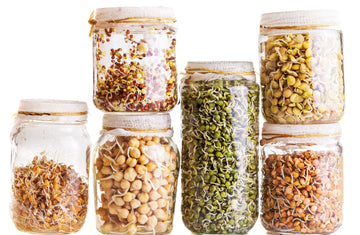 Sprouted grains